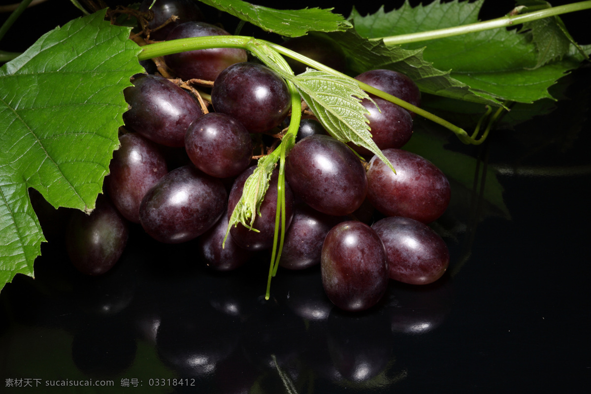 新鲜 葡萄 提子 新鲜水果 紫葡萄 果实 成熟 特写 摄影图 高清图片 蔬菜图片 餐饮美食