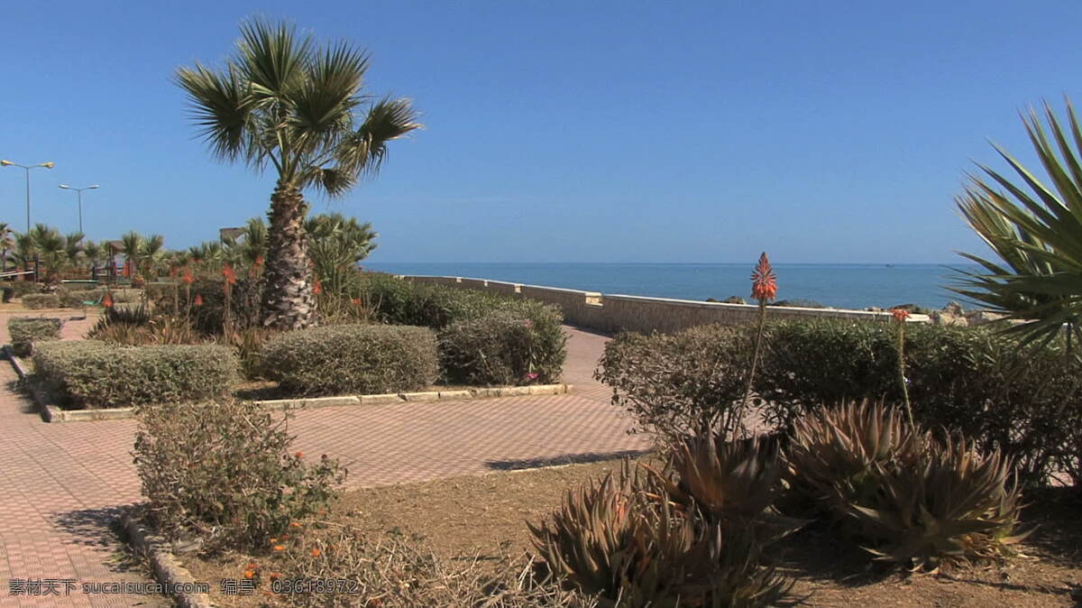 西西里岛 海滨 公园 股票 录像 海 海洋 花园 视频免费下载 树木 意大利 植物 前面 水 其他视频