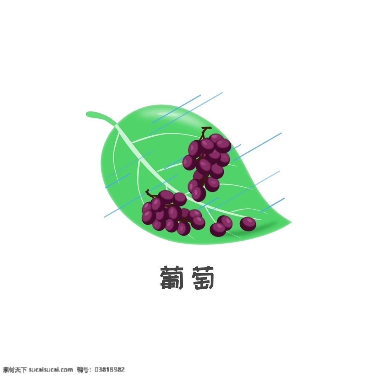 原创 商用 蔬菜水果 元素 叶子 夏日 葡萄 紫色 水果