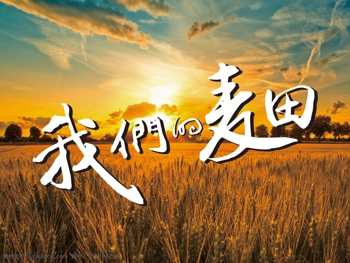 我们 麦田 麦子 天空 psd源文件