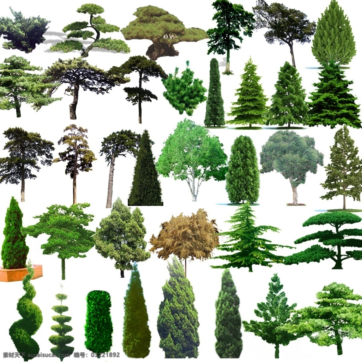 松树 实际 像素 下 非 高清 松树psd 模板下载 树木 植物 绿化 景观 园林 亮化 柏树 盆景 节节高 分层 源文 源文件