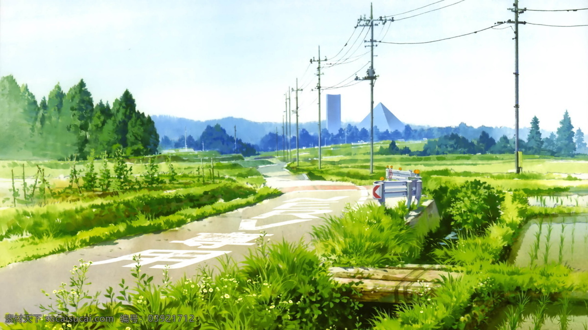 乡村农田 贡米基地 稻田 农村 田野 水田 乡村旅游 农田 电线杆 自然景色 自然景观 自然风景
