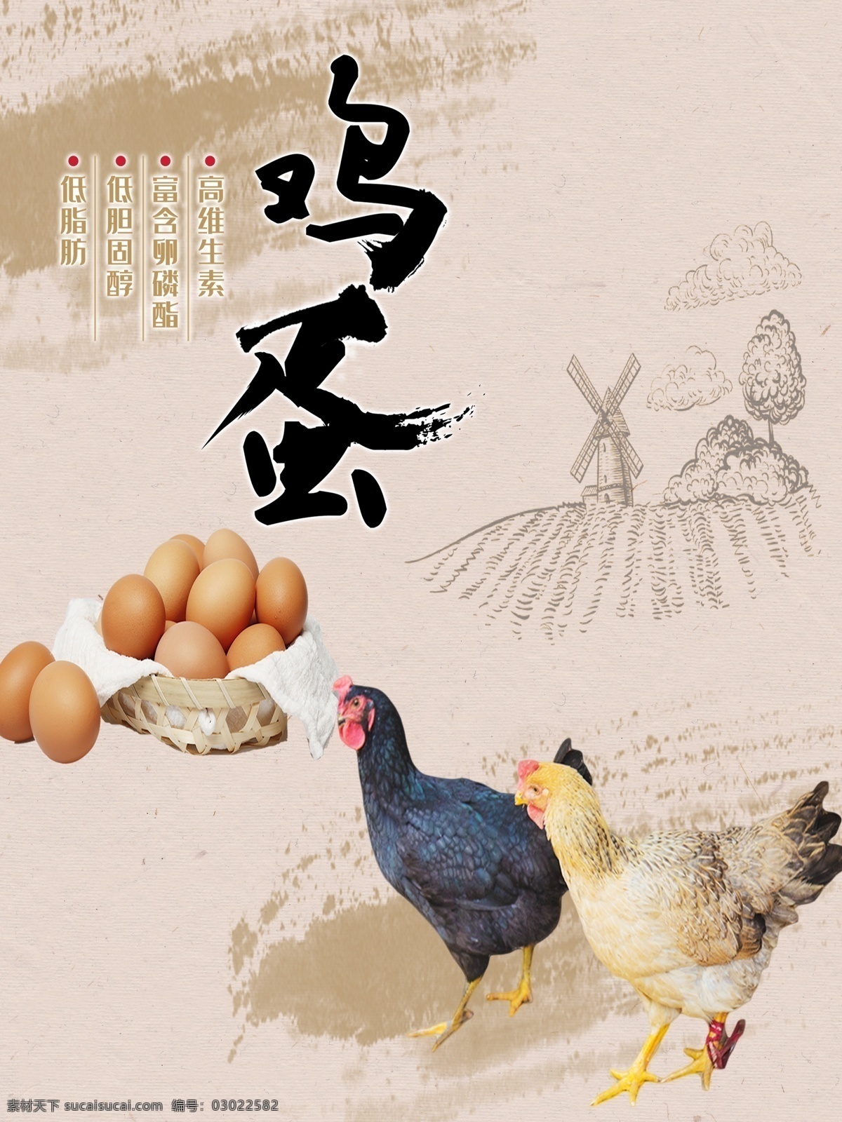 鸡蛋展板图片 鸡蛋展架 鸡蛋 鸡蛋海报 鸡 鸡蛋宣传 鸡蛋广告 分层
