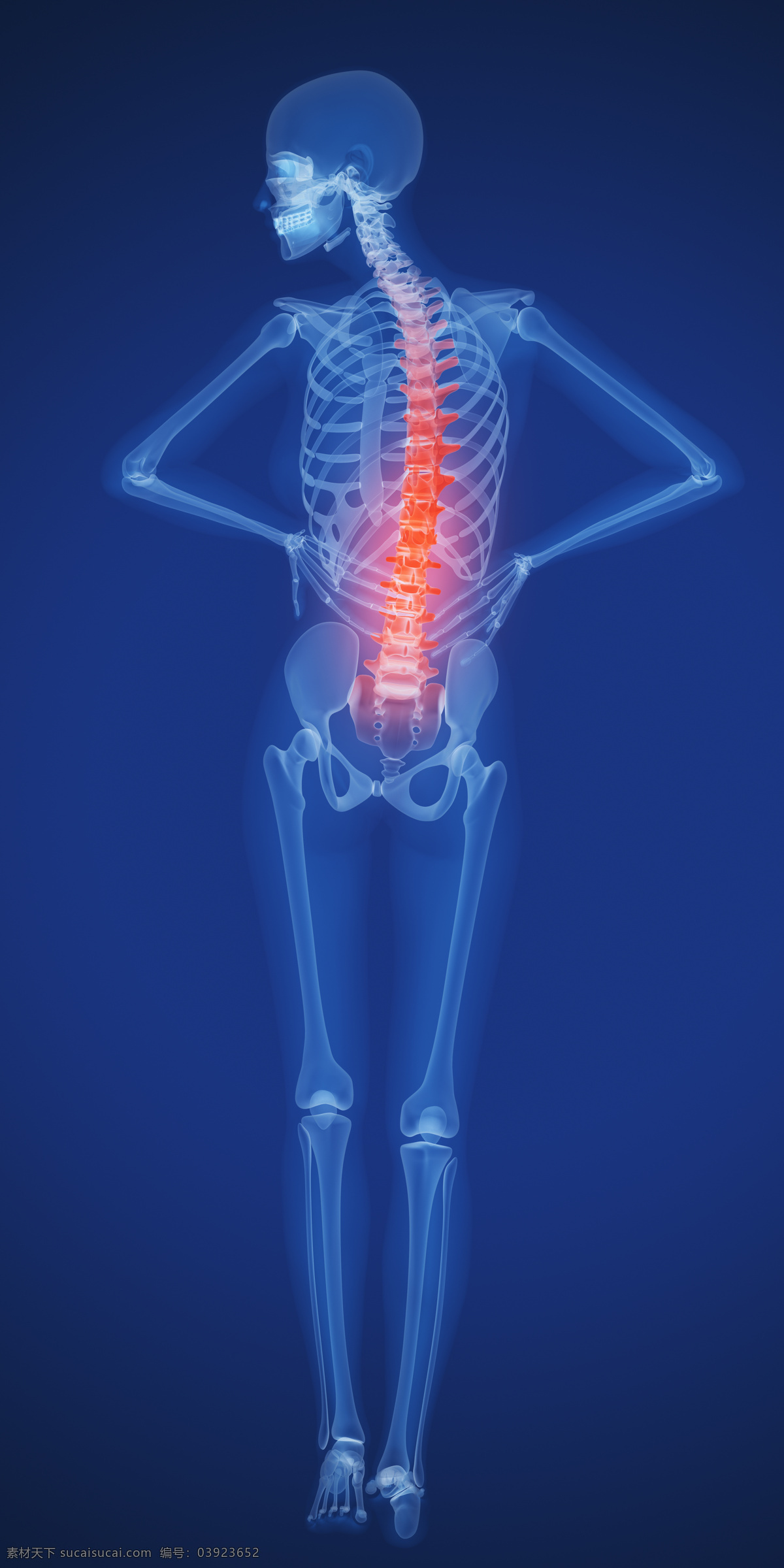 人体 腰椎 x 光 图像 医疗主题 透视图 x光 医疗护理 现代科技
