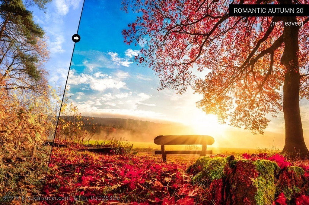 浪漫 秋天 灯光 预设 romanticautumnlightroompresets