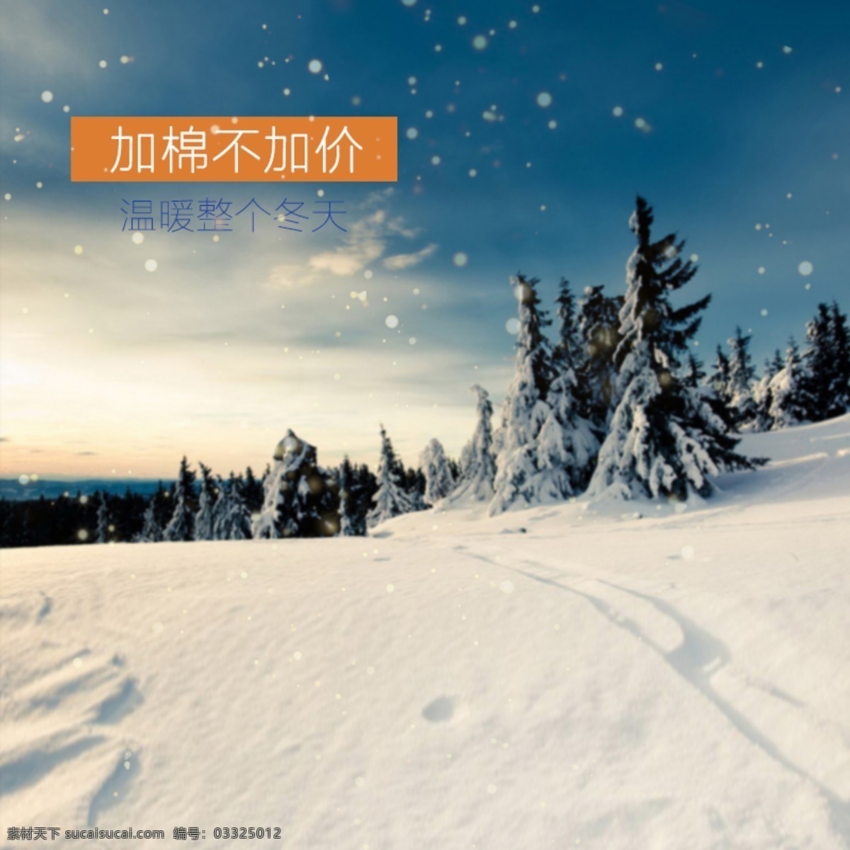 冬季雪景 冬季 雪景 松树 灰色