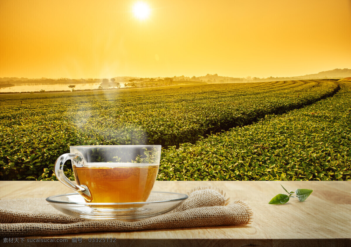 采茶 绿叶 茶叶种植 一杯茶 茶杯 透明茶杯 红茶 黑茶 白茶 普洱茶 大红袍 茶叶 茶 茶园 绿茶 茶文化 体验园 新茶 茶厂 生态茶园 大型 万亩茶园 观光园 生态旅游 高清大图 茶园规划 茶山 爬山 旅游 小路 铁观音茶山 山峦 高山茶 茶山风景 茶园风光 高山茶园 风景 自然景观 田园风光