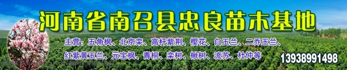 忠良 苗木 基地 河南省 南召 分层 源文件