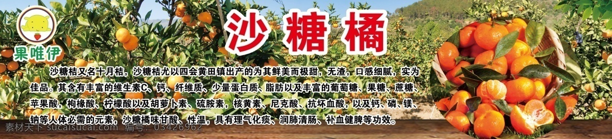砂糖橘 橘子 蜜橘 水果店海报 富硒砂糖橘 砂糖橘介绍 砂糖橘好处 砂糖橘展板