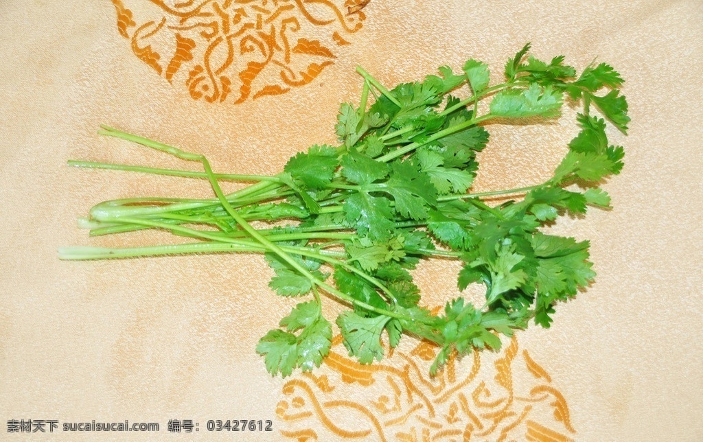 香菜 食材 菜谱 原始 食物 蔬菜 美食 青菜 植物 绿叶 食物原料 餐饮美食