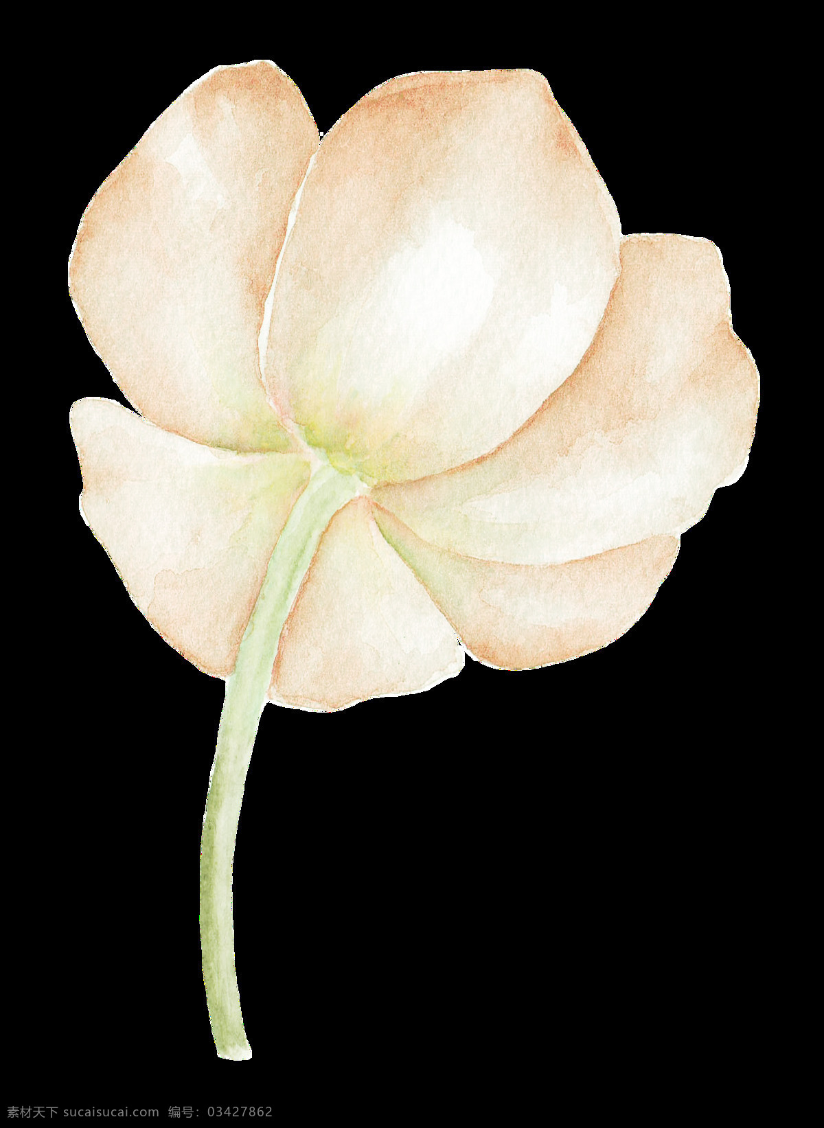 手绘 立体 水彩 淡 墨画 透明 渐变 花梗 淡雅 清雅 透明素材 免扣素材 装饰图片