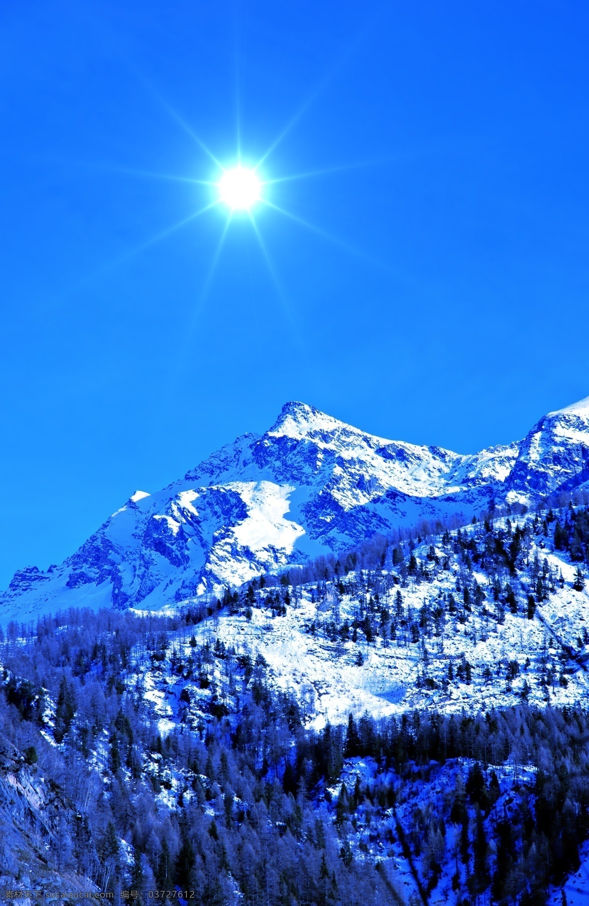 雄伟 高山 壮观 山峰 山脉 蓝天 白云 雪山 松针树 山水风景 风景图片