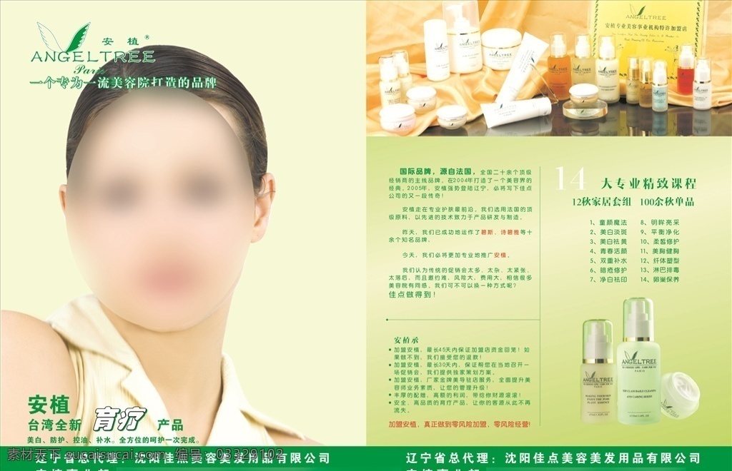 美容传单 美容dm 美容产品 传单 美容 共享 名片 vi 画册 dm dm宣传单