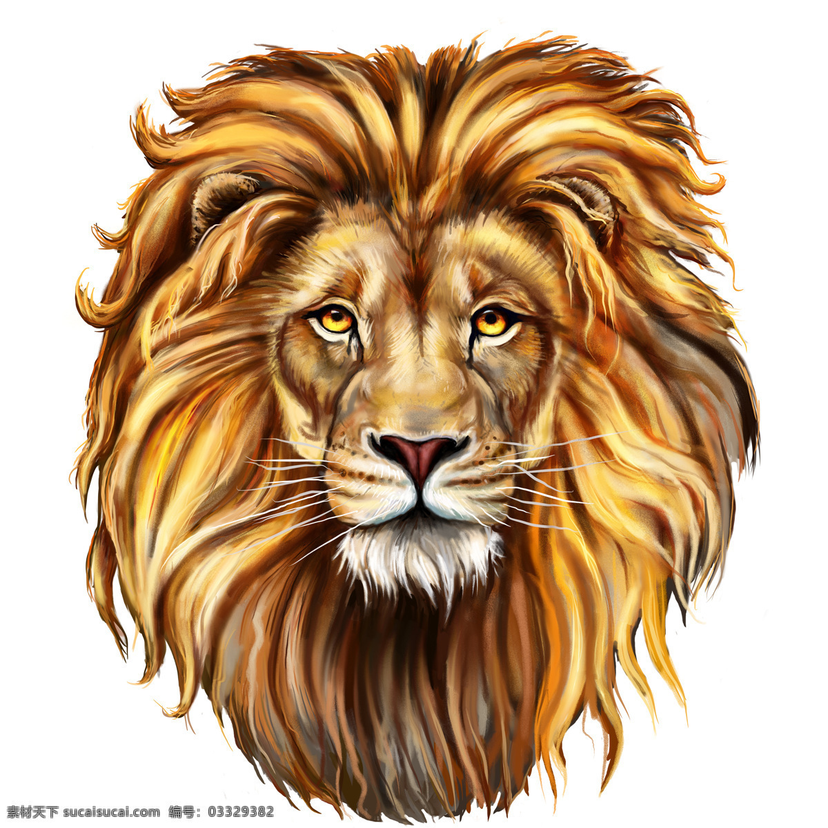 狮子油画写生 狮子油画 动物插画 矢量动物 动物油画 绘画艺术 陆地动物 生物世界 白色