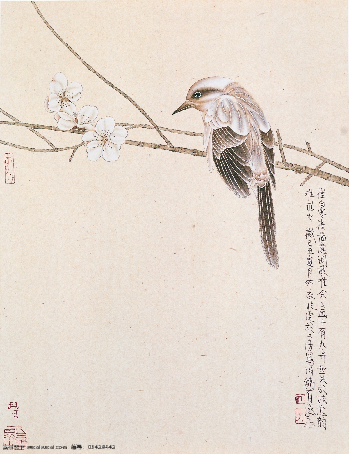 简约 国画 花鸟 篇 工笔 国画花鸟 花卉 动物 植物 梅花 树枝 中国风 工笔画 装饰画 暖色调 文化艺术 写意小鸟 大师作品 粉色