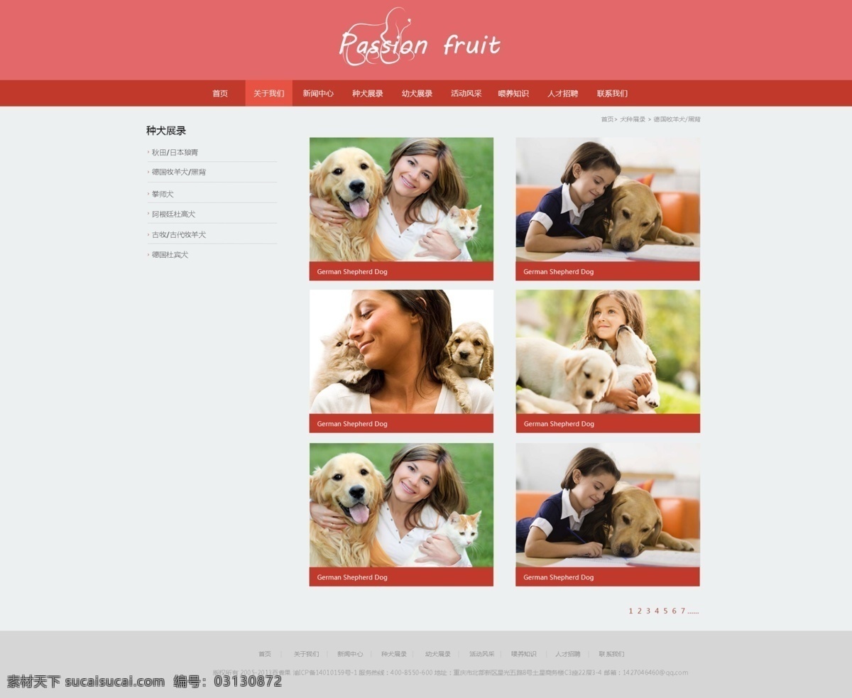 宠物 网站 模板 产品列表 页 源文件 简洁 人物 色块 小狗 原创设计 原创网页设计