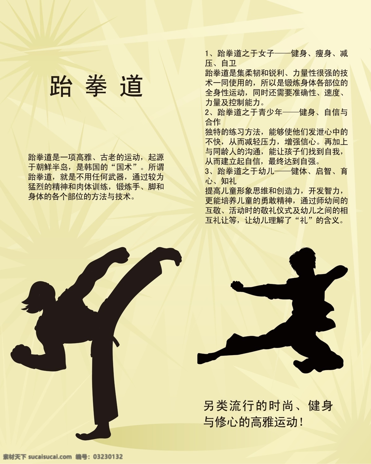 跆拳道 展板 运动 体育 舞蹈 健身 人物 介绍 常识 200 展板模板 广告设计模板 源文件