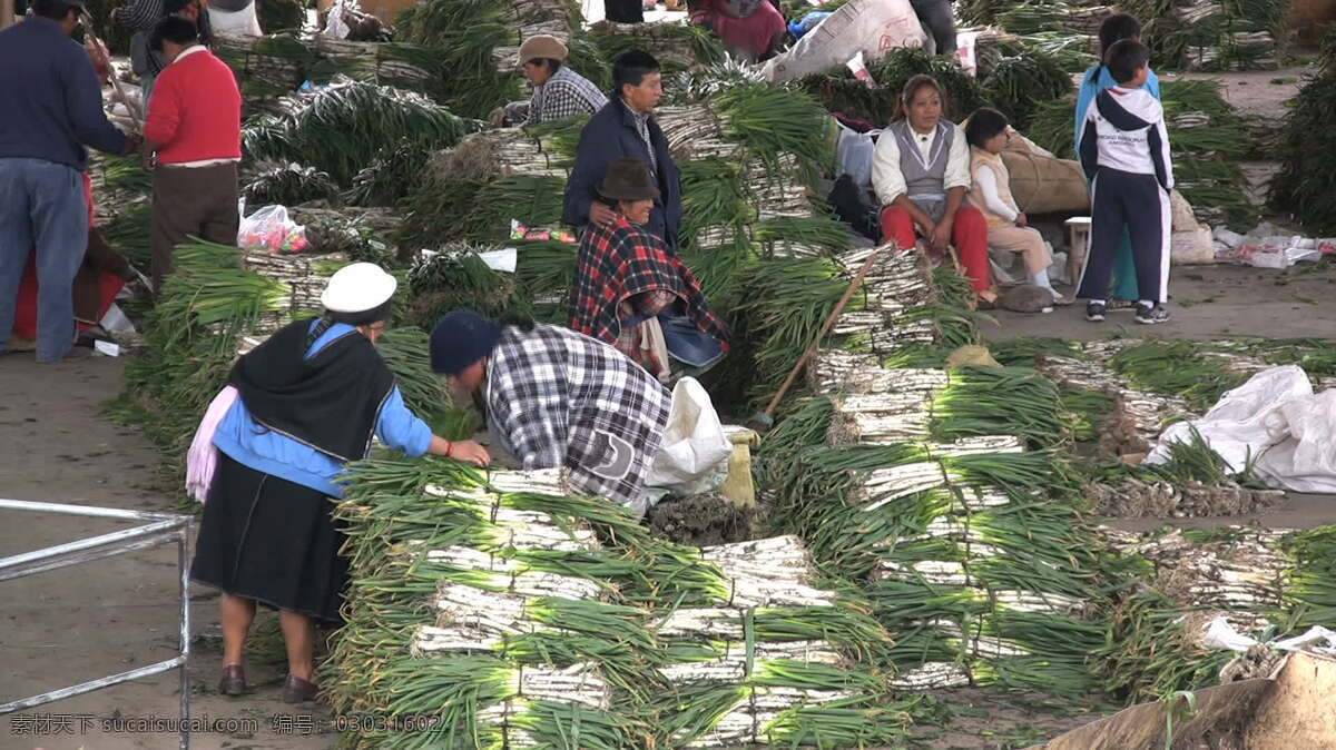 厄瓜多尔 股市 录像 购买 购物 食品 市场 视频免费下载 蔬菜 水果 购买人 其他视频