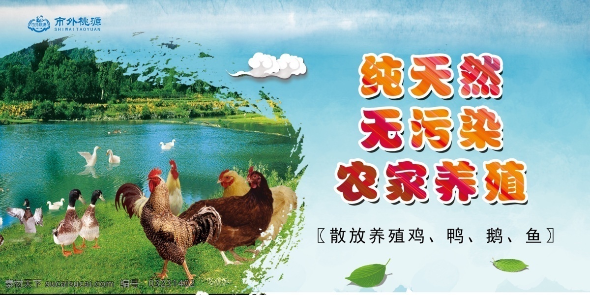 农家乐喷绘 生态园 绿色养殖 鸡 散养鸡 生态鸡