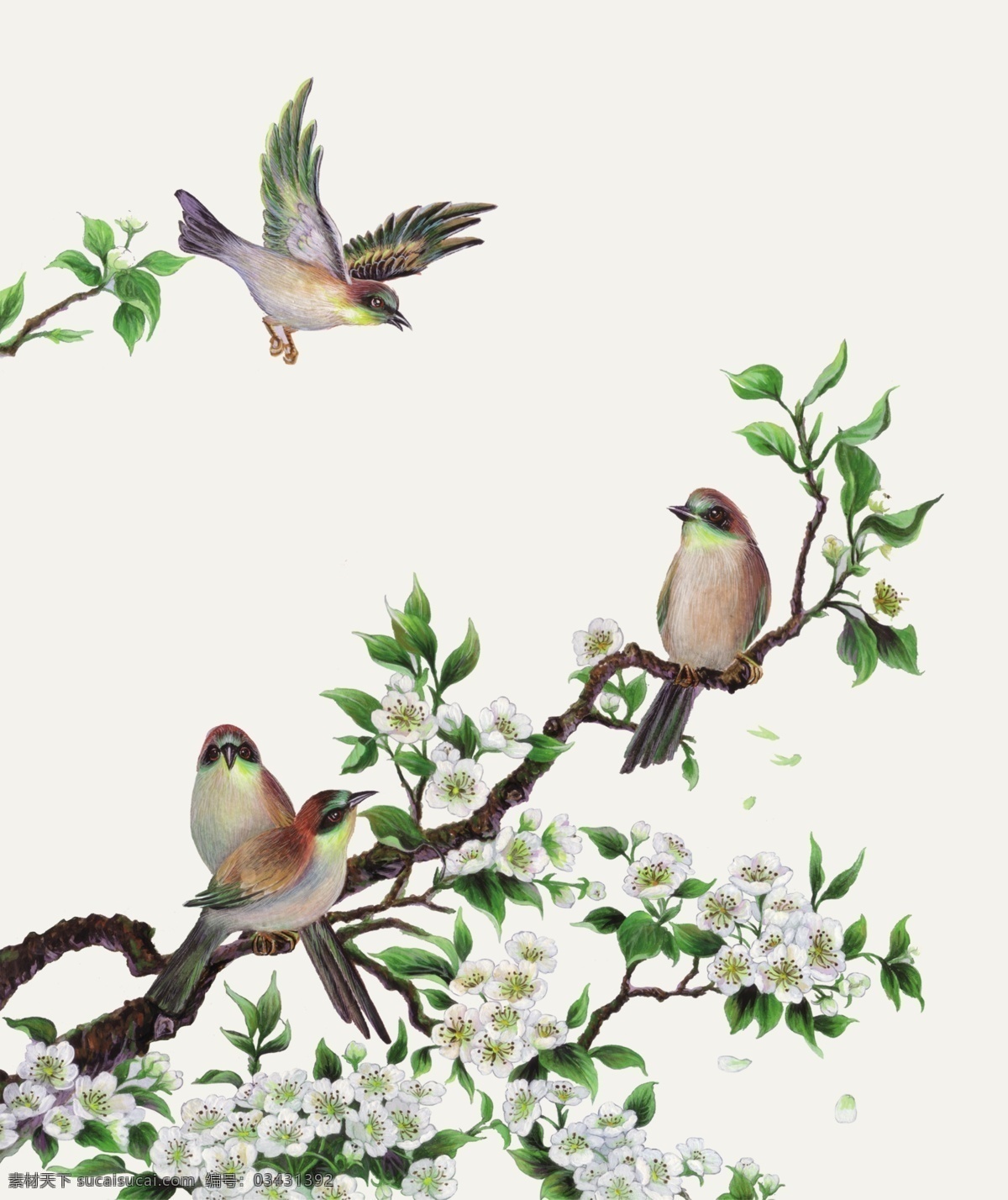 梅花 新中式 手绘花鸟 手绘 花鸟玄关图 免抠花鸟玄关 屏风 隔断 装饰画 古典 花鸟画 国画 挂画 喜上梅梢 桃花 无框画 山水 新中式花鸟 玉兰 素雅梅花 梨花 红梅 花 梅花手绘 中式 中式花鸟 手绘梅花 中式梅花 工笔 梅花装饰画 梅花花鸟 工笔梅花 花鸟装饰画 中式手绘 花鸟梅花 花鸟