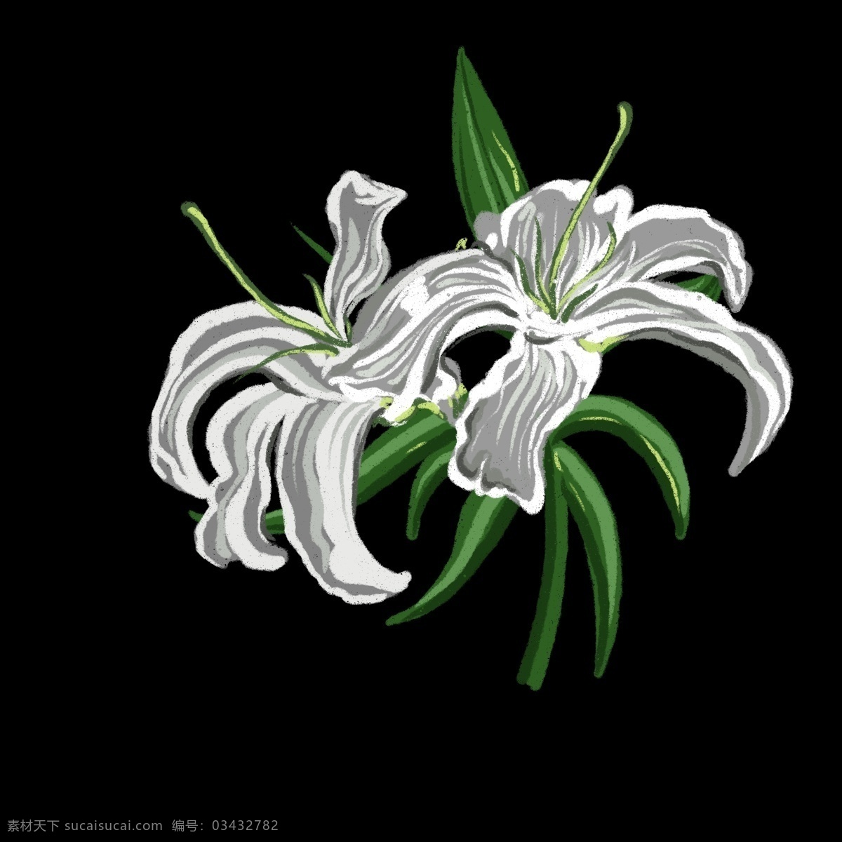 创意花卉插图 卡通 花卉 绿色