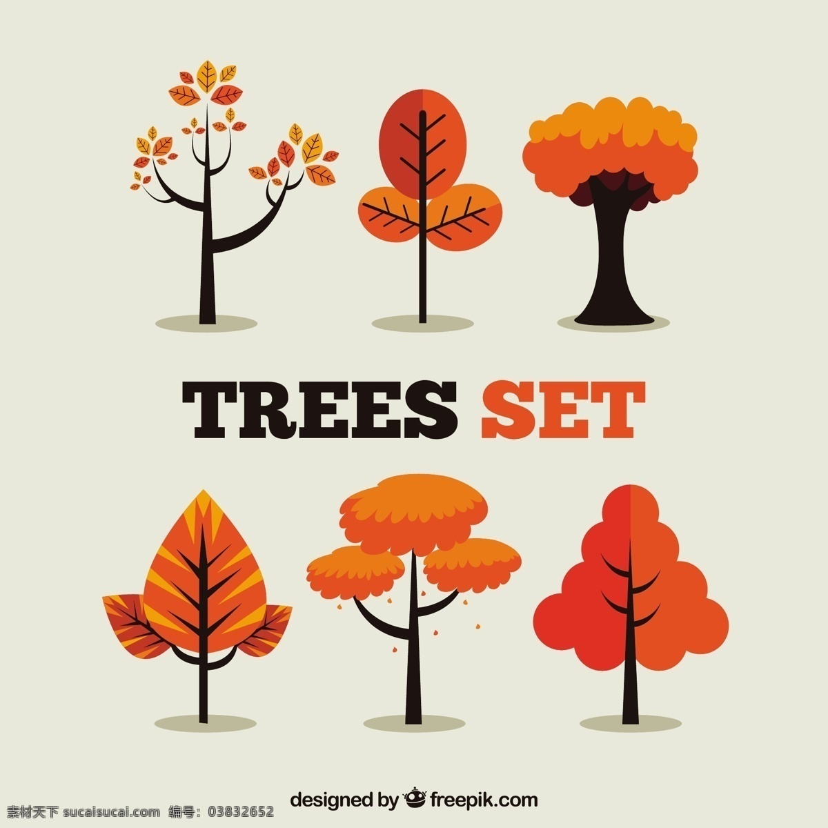 橙树 树 自然 秋天 森林 树叶 桔子 树木 秋天的树叶 季节 集合 树干 植被 灰色