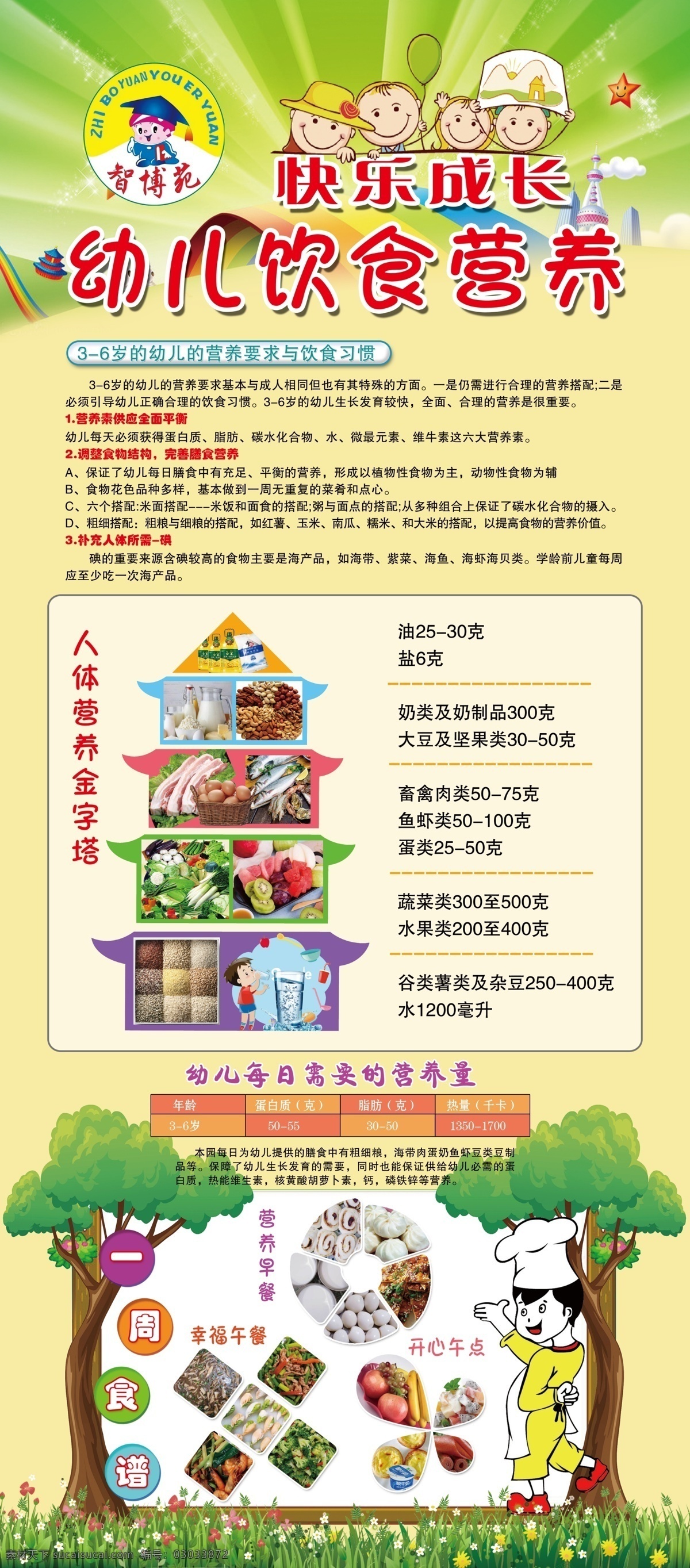 幼儿 饮食营养 展架 幼儿园 饮食 营养 分层图