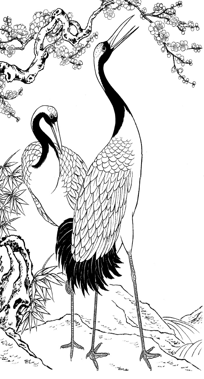 梅鹤 线描图片 文化艺术 绘画书法 设计图库