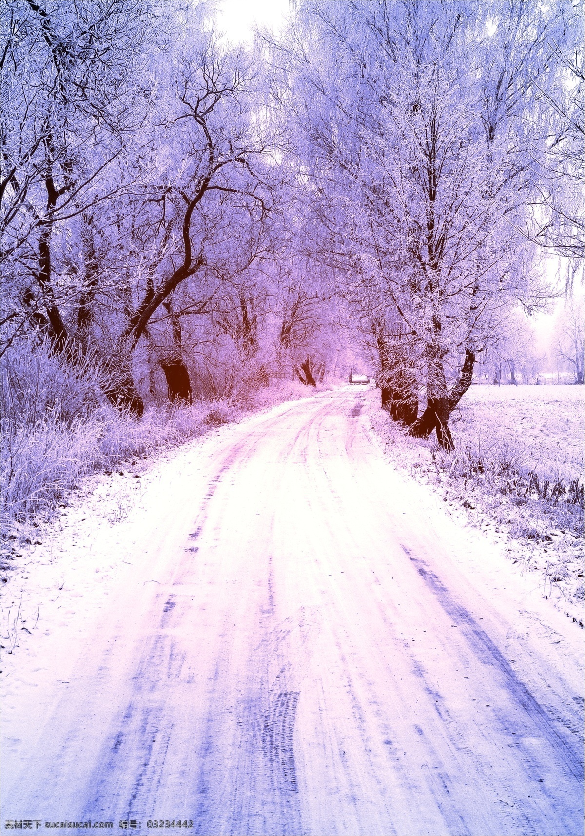 冬天公路雪景 冬天雪景 冬季 美丽风景 美丽雪景 白雪 积雪 风景摄影 树木 树林 道路 公路 自然风景 自然景观 白色