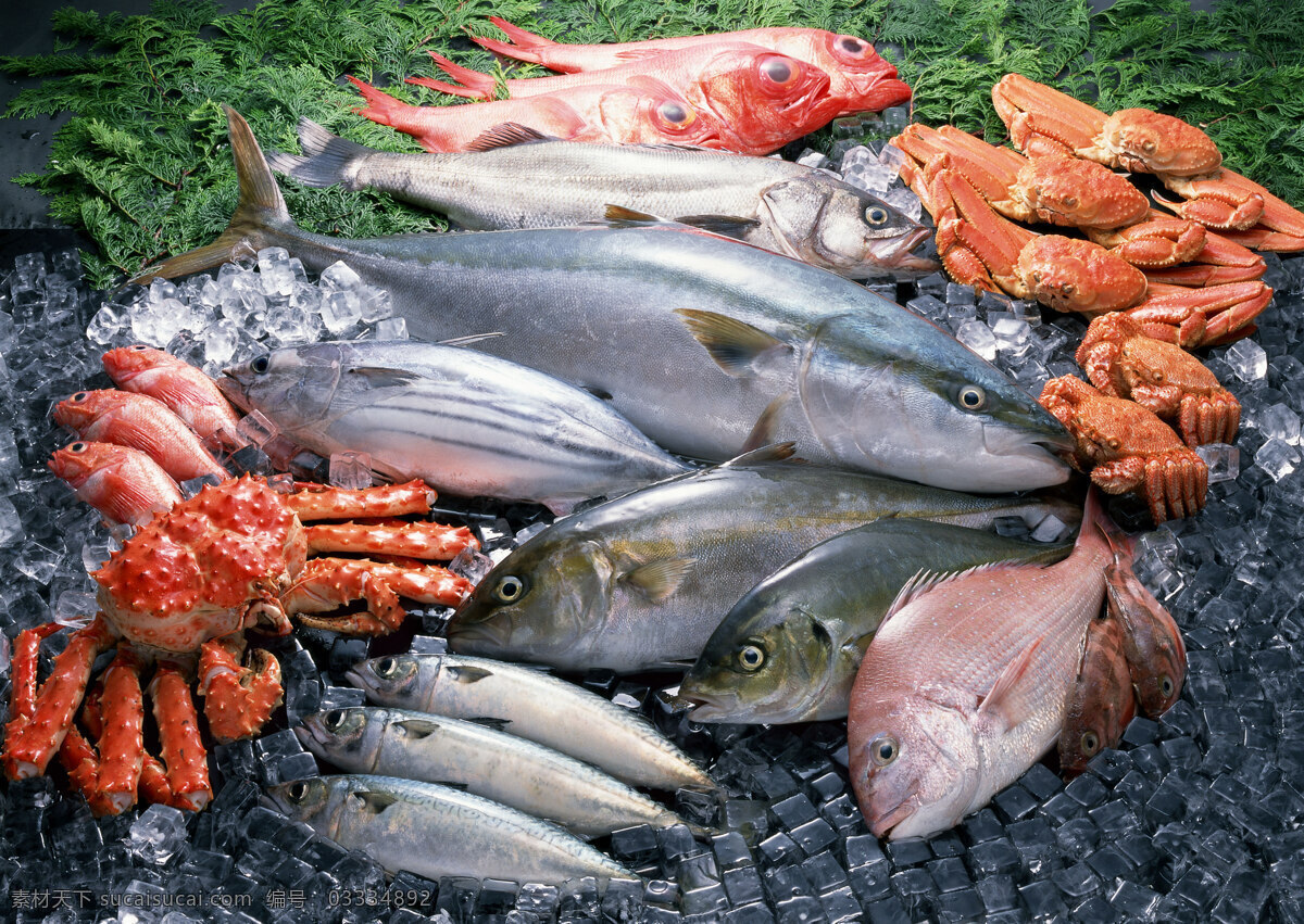鲜鱼 海产品 水产品 海鱼 海鲜 鱼虾 贝类 水 生物 生物世界 鱼类