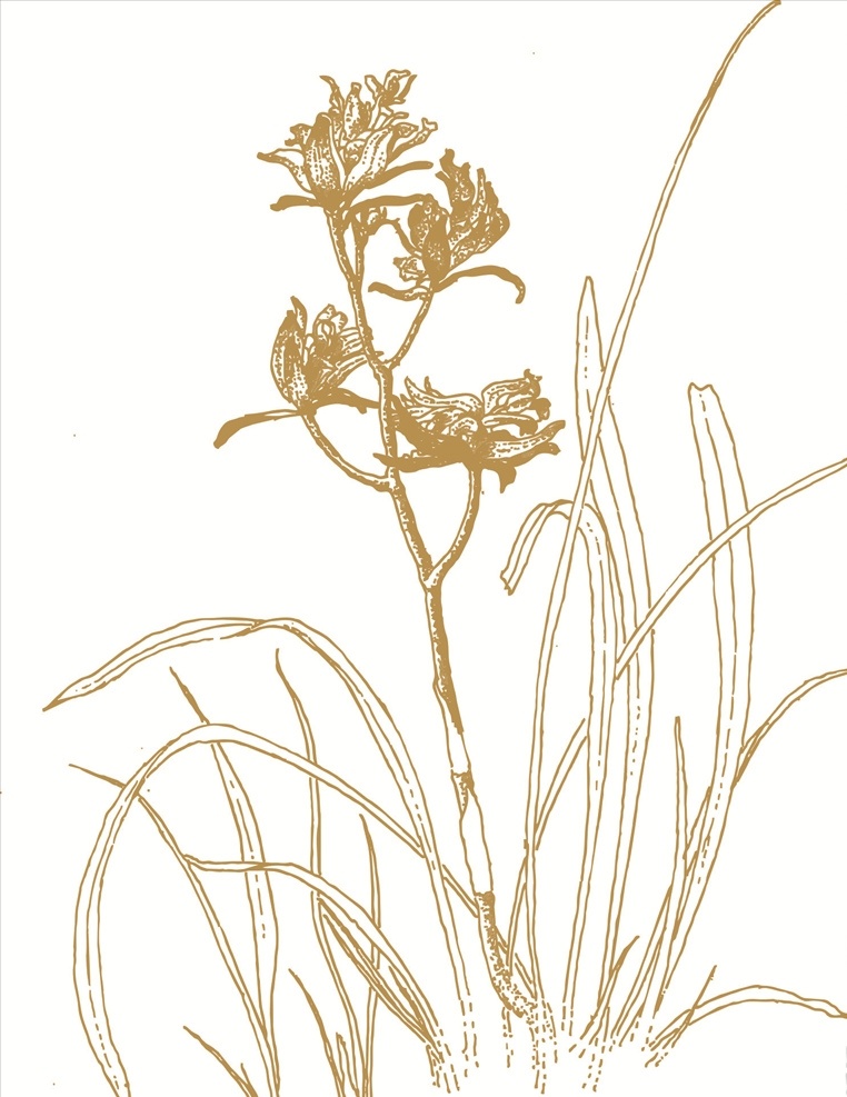 简笔画 移门花纹 移门窗花 衣柜花纹 线条 古典 中国风 隔断 兰花矢量素材 镂空雕花 矢量素材 线描 兰花矢量图 兰花 兰花素材 条纹线条 兰花线条图 玻璃花窗 门窗花纹 木格雕花 矢量移门 移门线条图 移门图案 兰花剪影 剪纸 传统 矢量 剪影 黑白 电视背景墙 背景墙 玄关 屏风 线条图