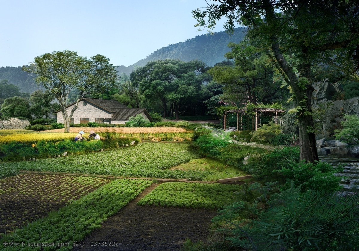 菜地景观图 园林景观 房地产广告 房地产效果图 广告设计模板 园林水景 游泳池 风景 园林风景