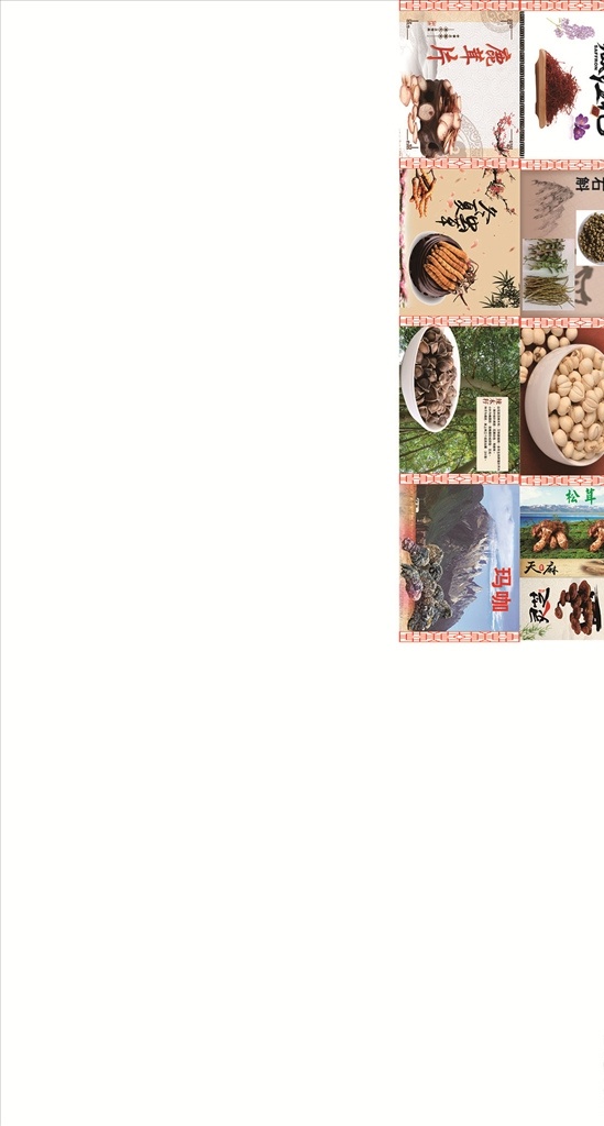 土特产宣传画 西藏土特产 土特产 手掌参 红景天 天麻 松茸 石锅 宣传画 藏式边框 矢量 室内广告设计