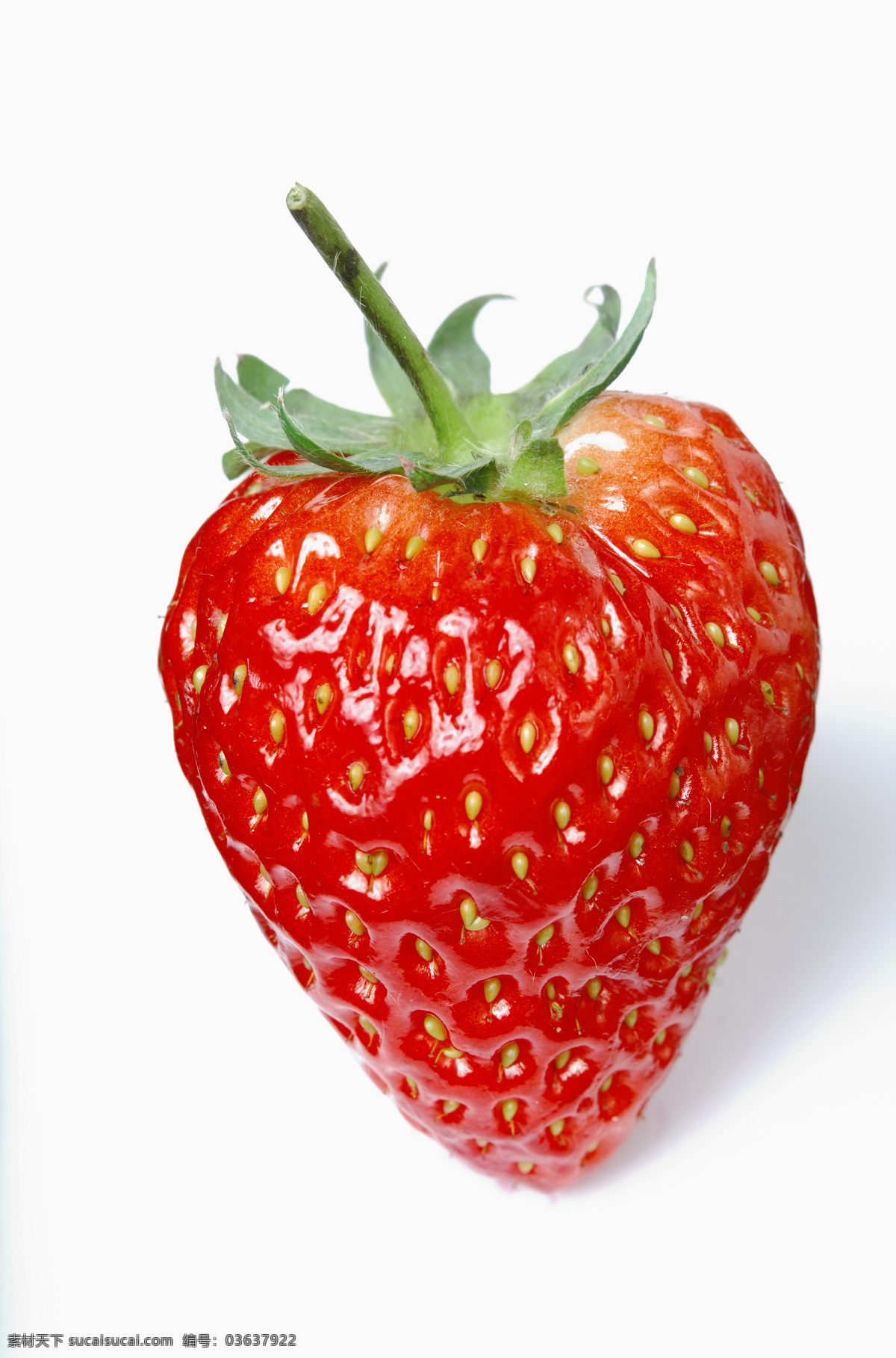 草莓免费下载 草莓 单色背景 高清 红色 水果 诱人 一个 风景 生活 旅游餐饮