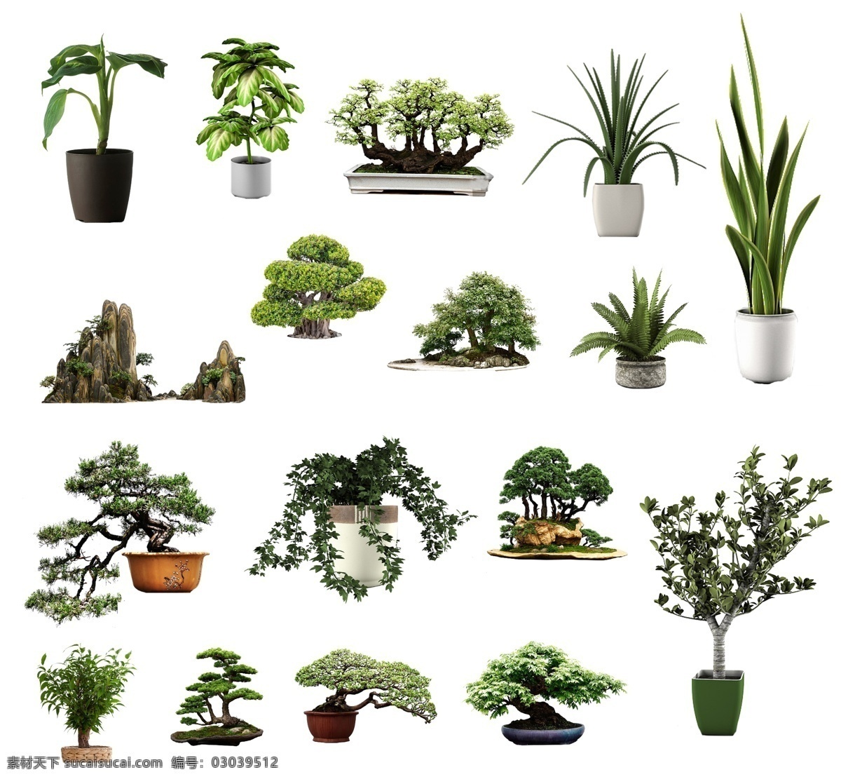 免 抠 植物 图 室内 盆栽 绿色植物 盆景 中式盆景 植物免抠图 环境设计 室内设计
