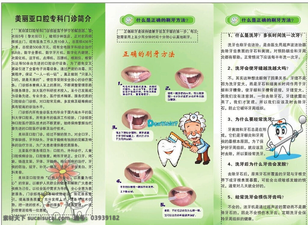 口腔三折页 口腔 牙齿 牙齿正确清洁 卡通牙 苹果牙 矢量 白色