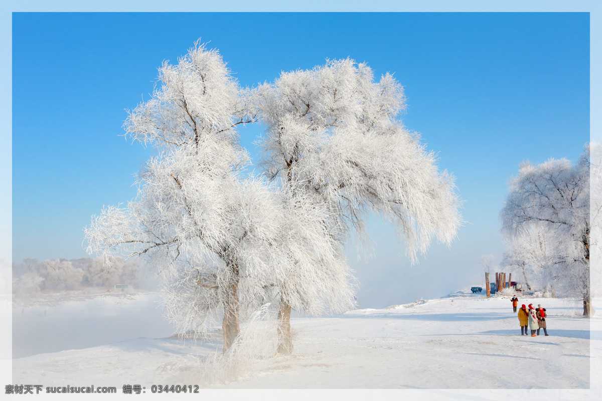 雾松 雪景 冰 冰花 冬景 冰挂 风光类 自然景观 山水风景