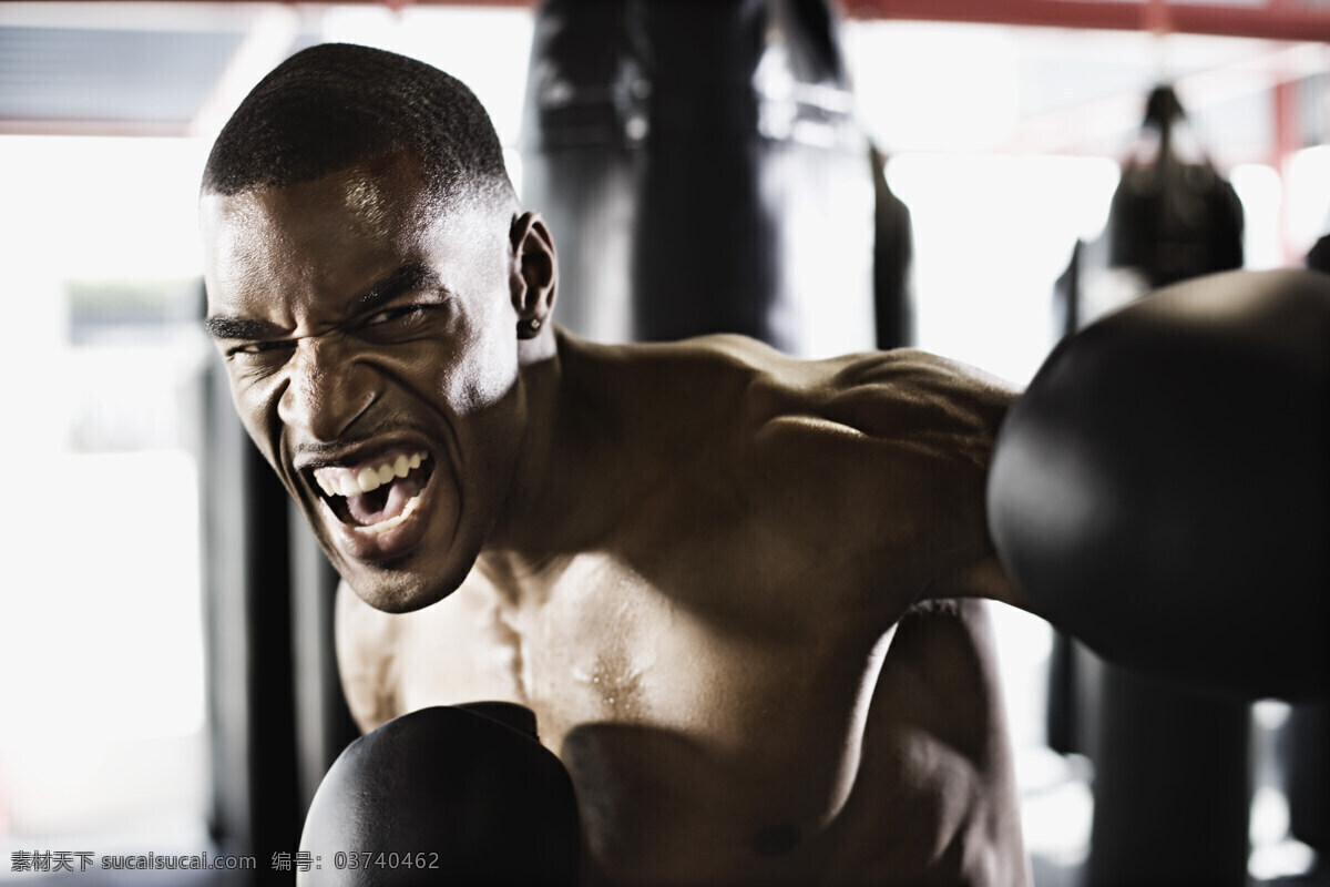 打拳 击 黑人 拳击运动 拳击手 黑人运动员 体育运动项目 武术 功夫 搏击 格斗 生活人物 人物图片
