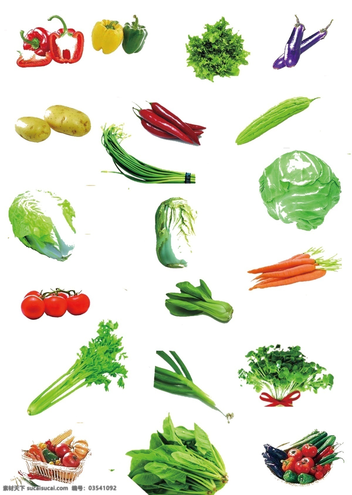 新鲜蔬菜 时令蔬菜 各种蔬菜 菜篮 蔬菜