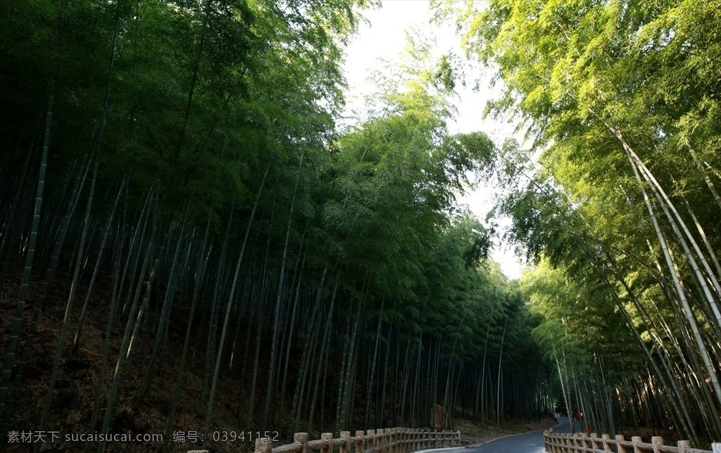 宜兴 竹海 竹林 路 宜兴竹海 竹林台阶 竹海听涛 江南风光 宜兴风光 千岛湖风光 旅游摄影 国内旅游