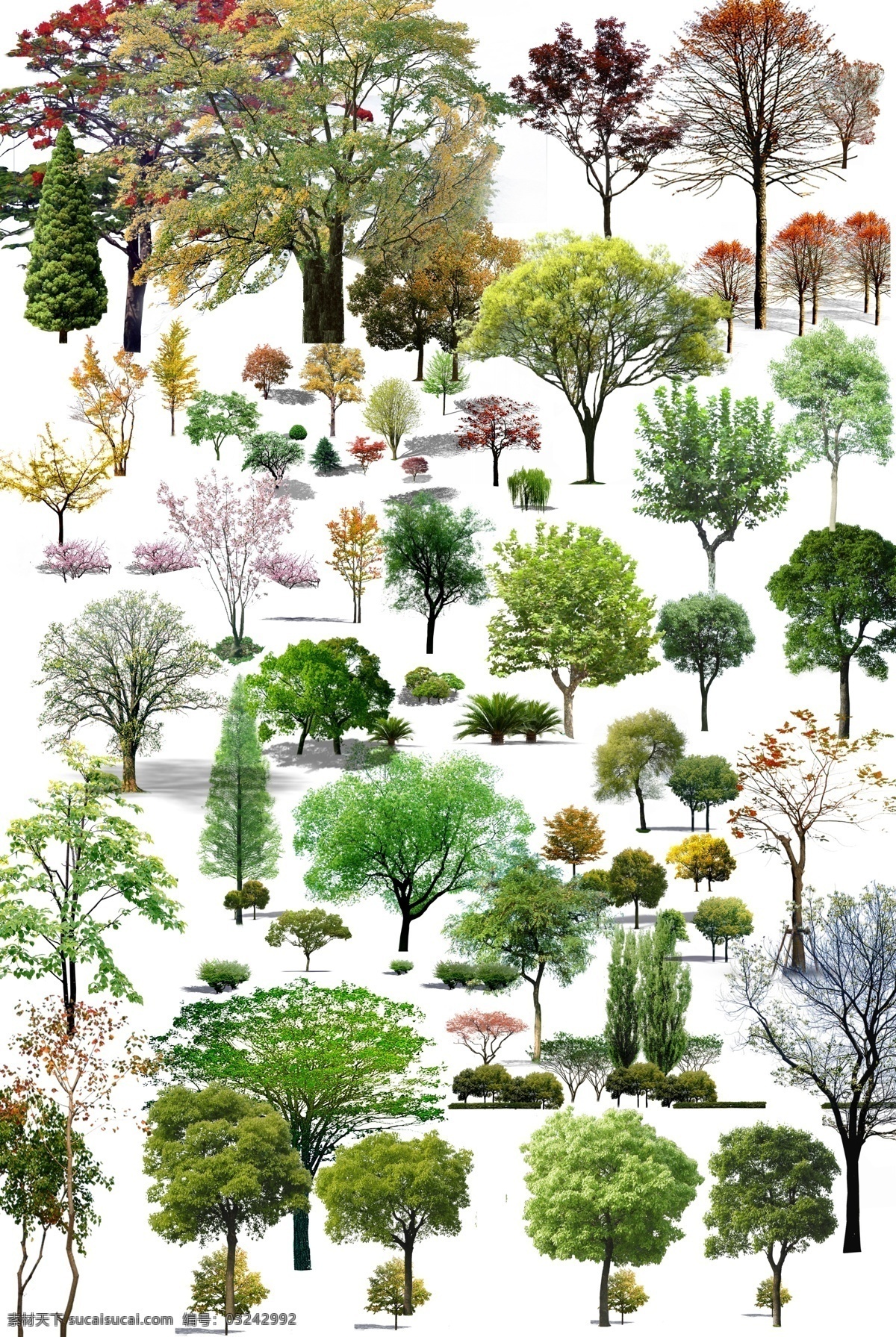 很多种树 树 植物 效果图 树木素材 分层 源文件