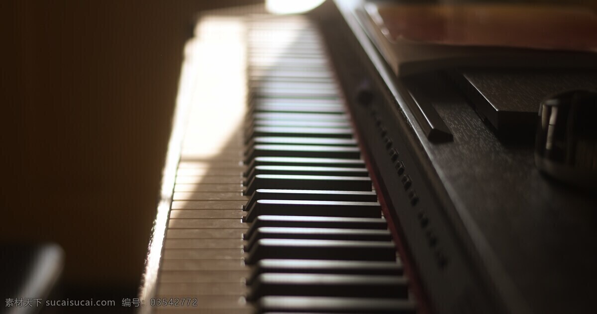 钢琴 琴键 乐器 电子琴 弦乐器 生活百科 娱乐休闲