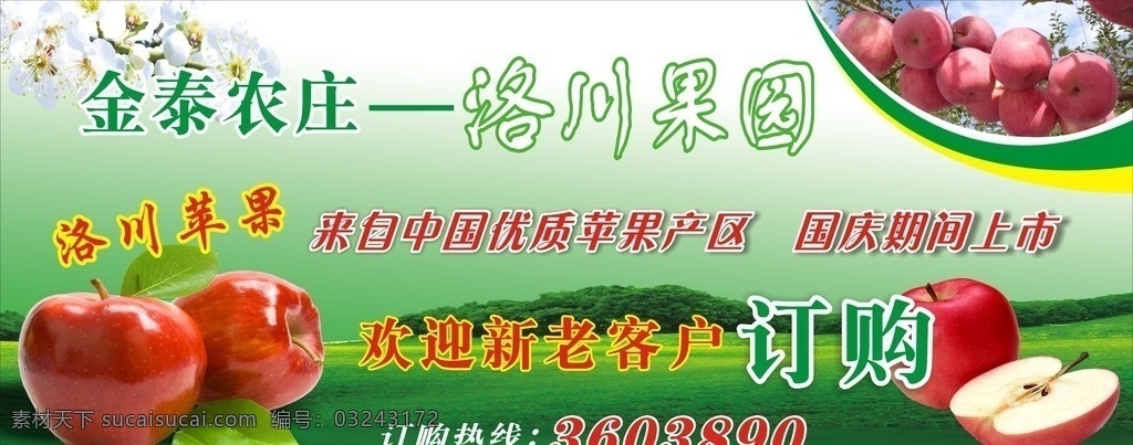 洛川苹果 苹果图 苹果广告 苹果展板 苹果园 展板设计