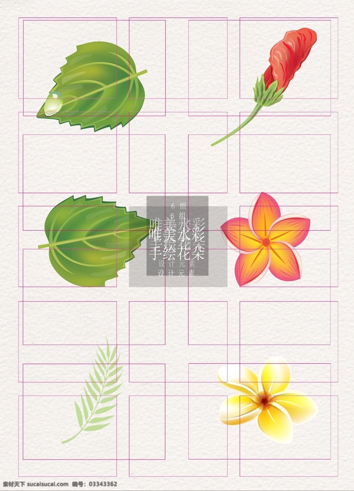 热带 植物 矢量 元素 清新 草地 热带植物 谷雨