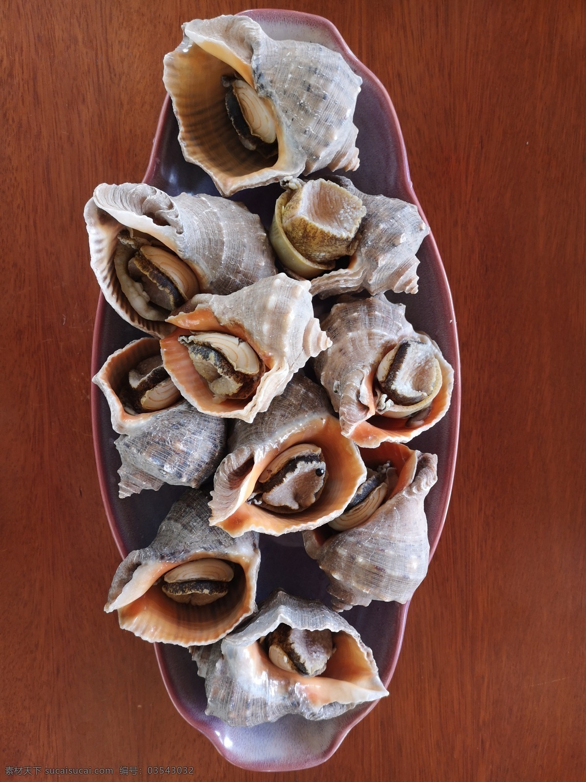 助餐 西餐 冷菜 海鲜 甜品 蛋糕 热菜 寿司 菜单 牛肉 烤肉 牛排 煎肉 西餐美食 海鲜海螺 酒店名菜 酒席菜式 中餐名菜 餐饮摄影 海洋 贝壳 美食 烧烤 烤串 旅游摄影 国内旅游