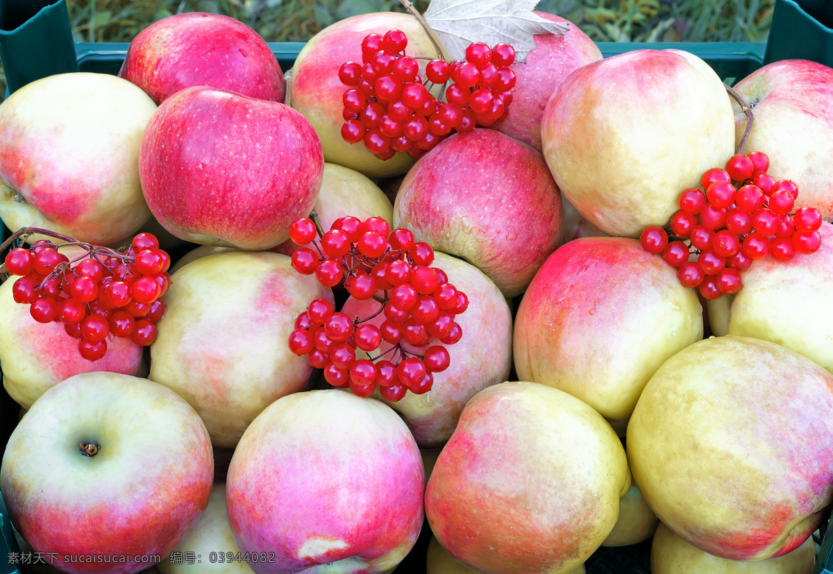 红苹果 上 红色 果子 红色果子 苹果 新鲜水果 美味水果 有机水果 水果蔬菜 水果摄影 苹果图片 餐饮美食