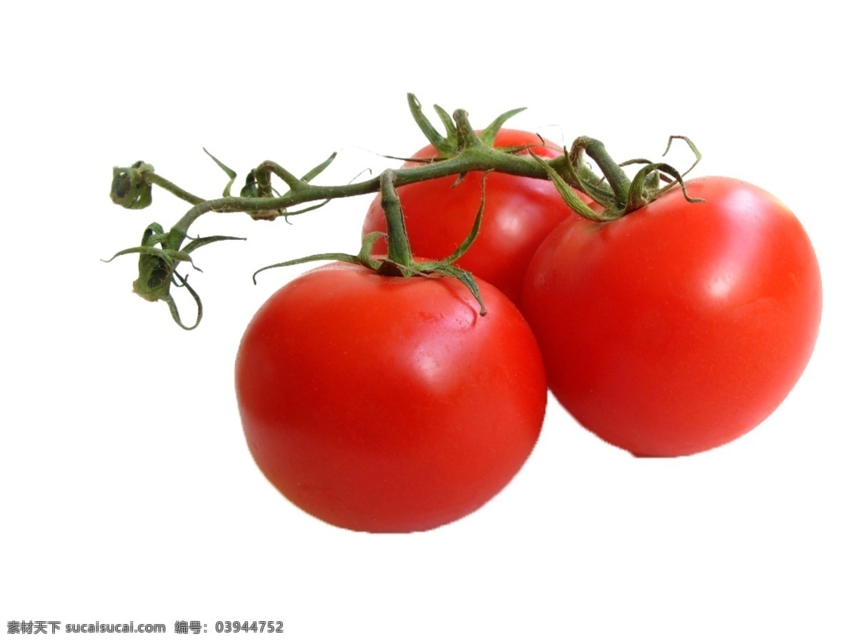 三个番茄 番茄素材 免抠 白色