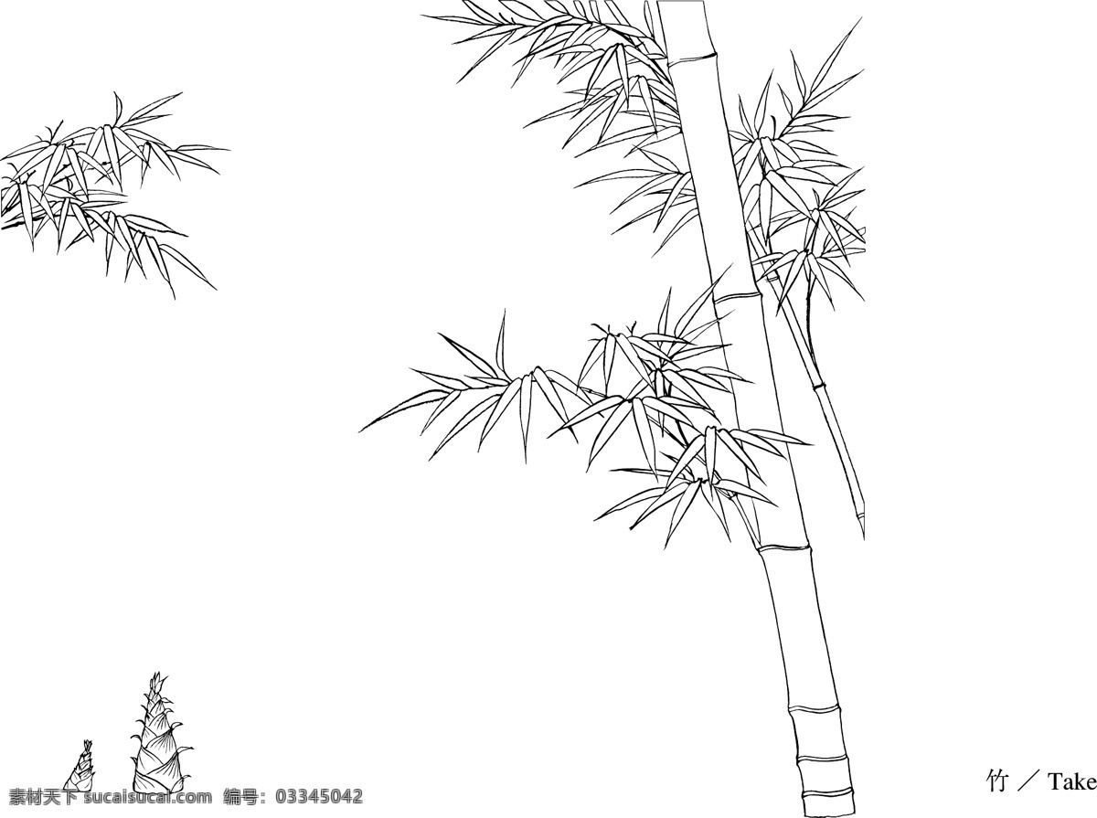 竹子 白描 素描 线稿 和式 日式 植物 草本 花 草 日本植物矢量 美术绘画 文化艺术 矢量