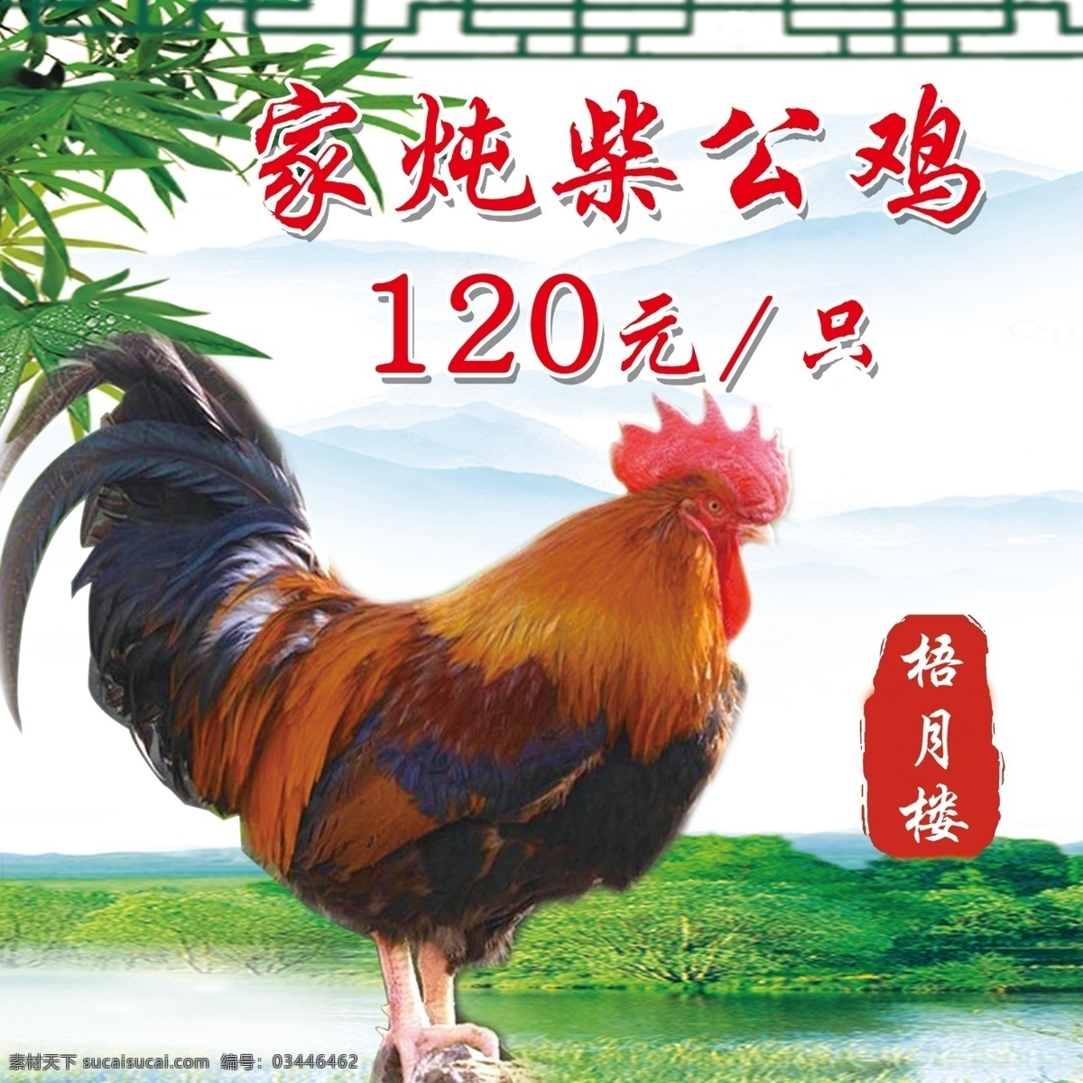 鸡 公鸡 动物 中国 生肖 羽毛 红公鸡 牌匾
