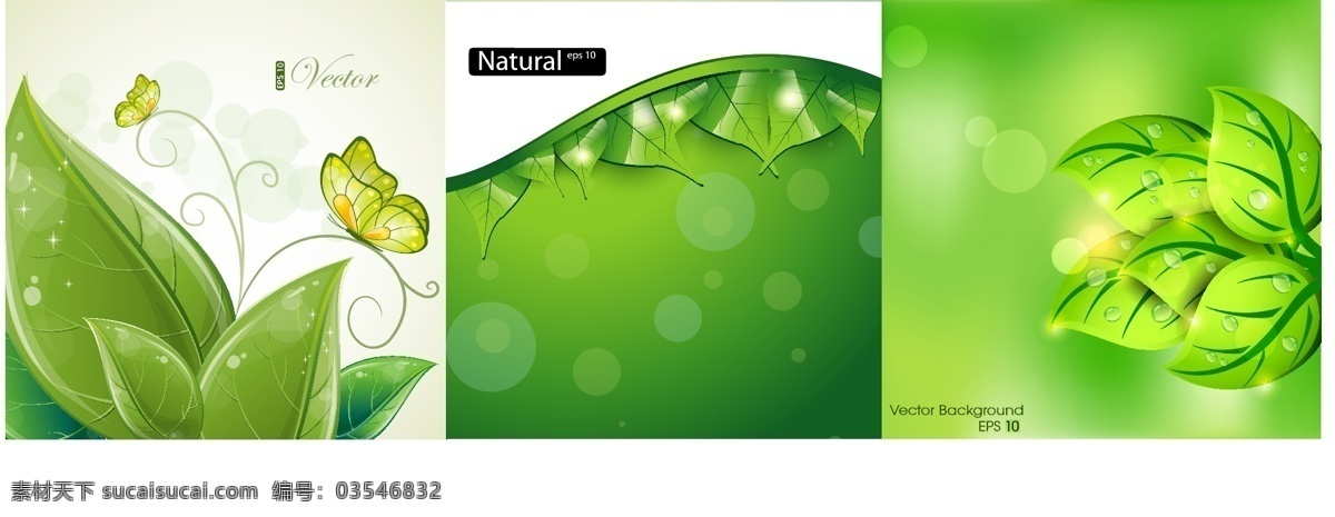 清新 绿叶 翠绿 蝴蝶 矢量图 花纹花边